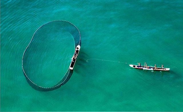 nilton souza lígia lira rede