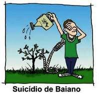 suicídido baiano