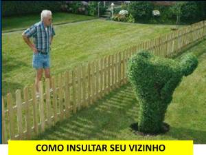 COMO INSULTAR