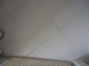 SANITÁRIO DE pEDRO 1