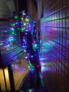 Árvore de natal, mandacaru