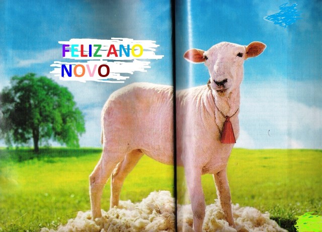 OVELHA NUA, ANO NOVO 2