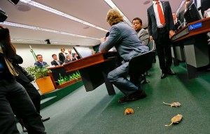 ratos no congresso 1