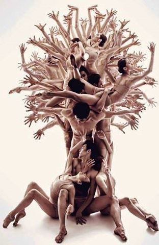 árvore de gente, Grace, Facebook